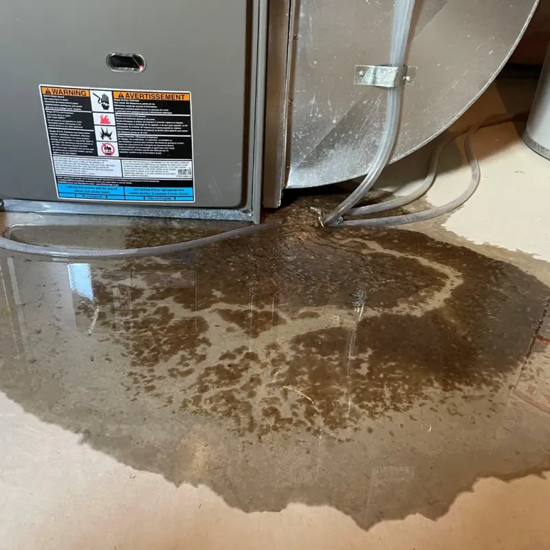 Appliance Leak Cleanup in Unalaska, AK